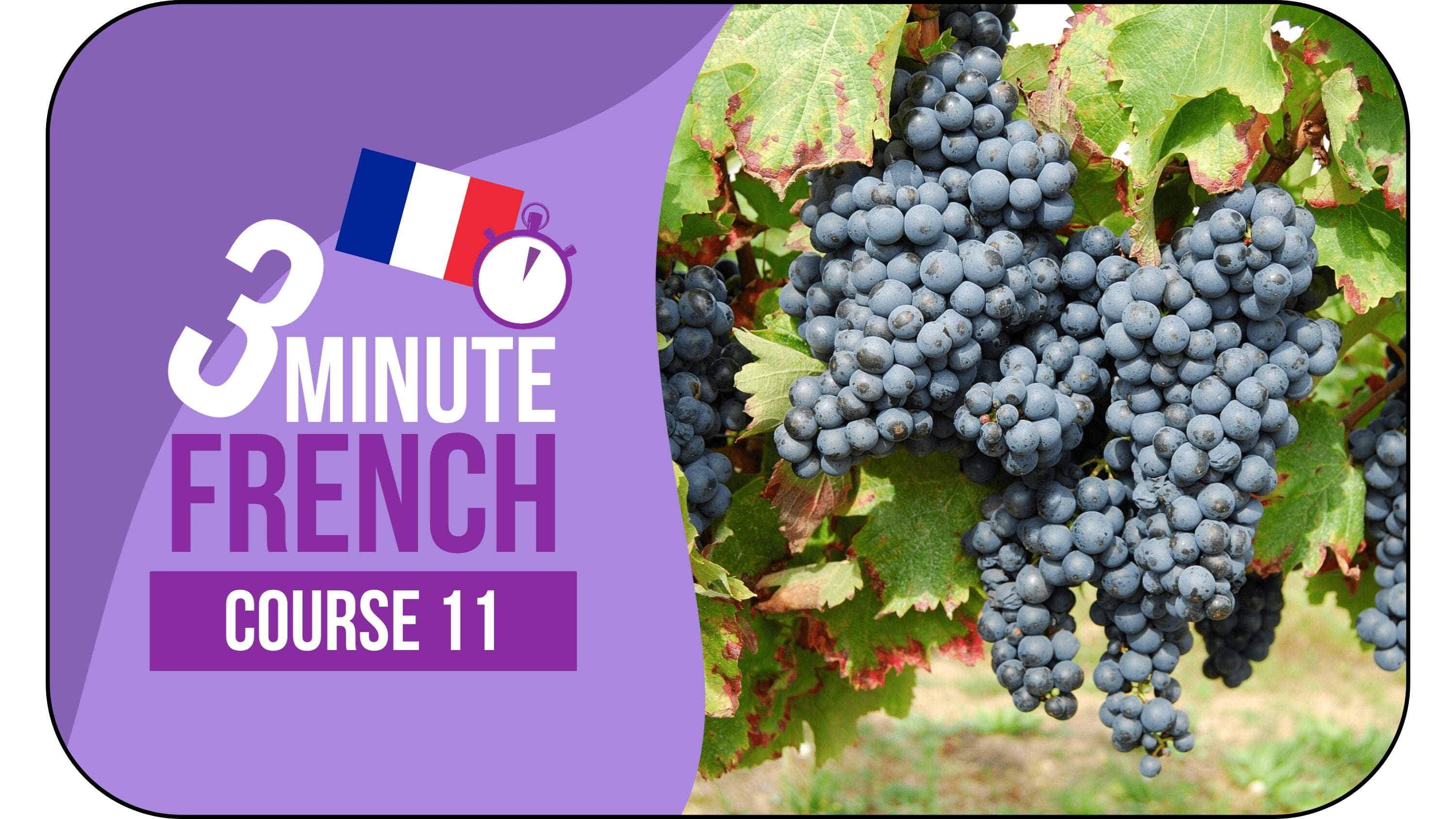 3 Minute French - Course 11